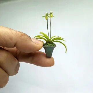 Mini plant