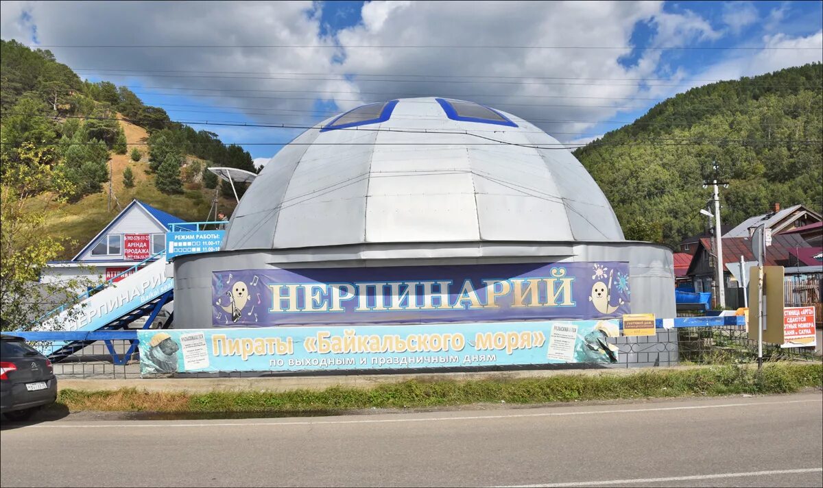 Листвянка режим работы. Иркутский нерпинарий «аквариум байкальской нерпы». иркутск листвянка нерпинарий. листвянка байкал нерпинарий. байкальский нерпинарий в листвянке.