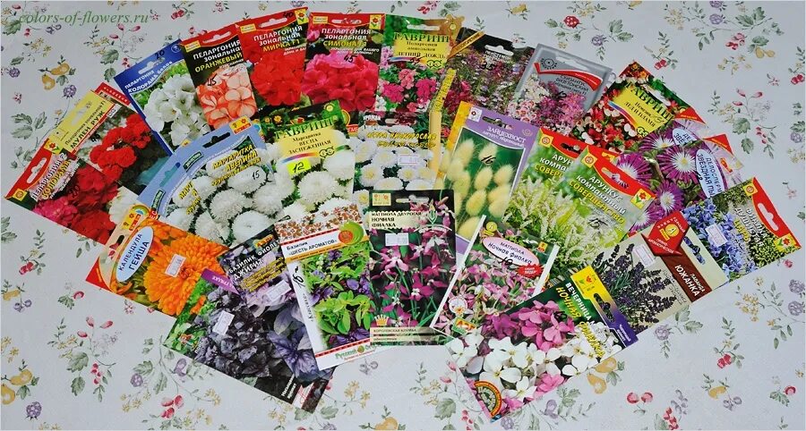Семена купить в алматы. Семена растений в пакетиках. Упаковка семян цветов. Пакетированные семена цветов. Семена цветов в пакетиках.