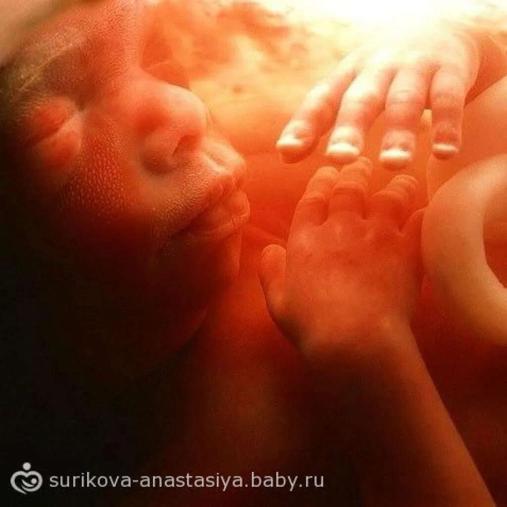 Как часто шевелится ребенок на 20 неделе. Плод на 22 неделе беременности. ребёнок в 22 недели беременности. ребенок на 21 неделе беременности. плод на 23 неделе беременности.