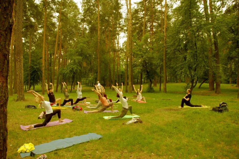 Занятия йогой на природе. Прогулка на природе. Занятия в лесу. Волонтеры в лесу. Площадка для медитации в лесу.