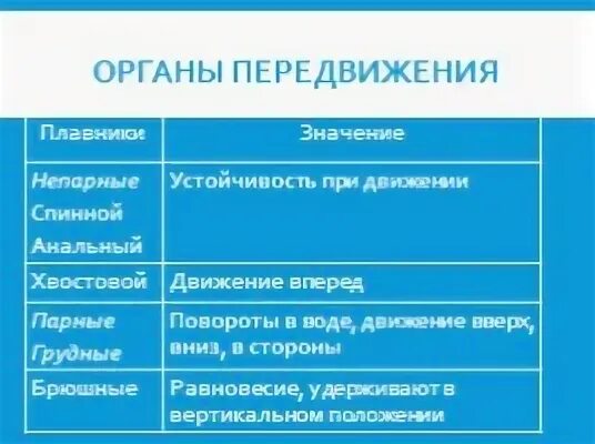 Функции органов движения. Функции плавников у рыб. органы передвижения рыб таблица. характеристика органов передвижения у рыб. органы передвижения характеристика.