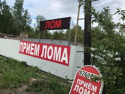 Прием ленинградская область