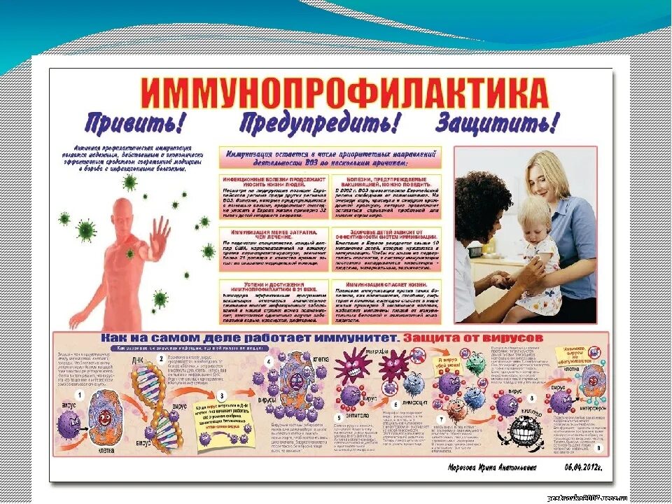 Проведении иммунизации
