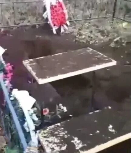 На кладбище в Нижнем Тагиле голодный медведь разрыл две свежие могилы: Яндекс.Но