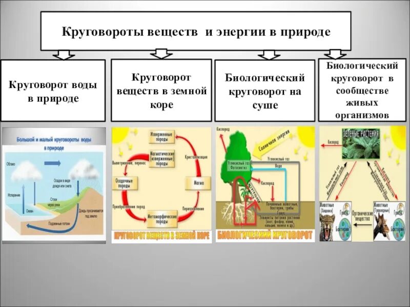 Круговорот веществ в природе география 6 класс. Круговорот веществ и энергии в географической оболочке. Круговорот веществ и энергии в природе схема. Круговорот в географической оболочке. Схема биологического круговорота.