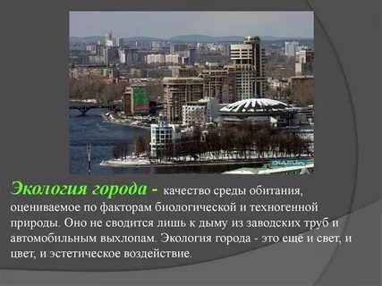 Городская экологическая среда