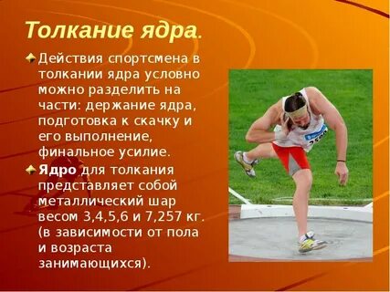 Мужское ядро весит