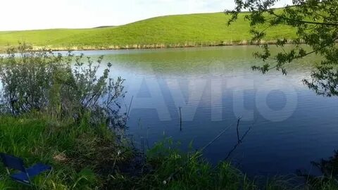 Погода в алтайском крае колово