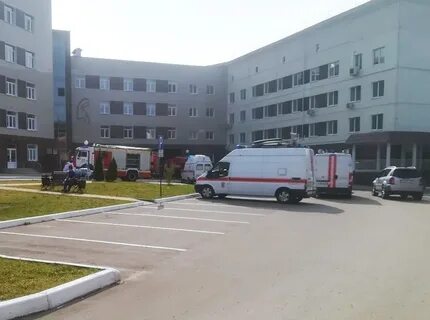 За гранью перинатальный курган