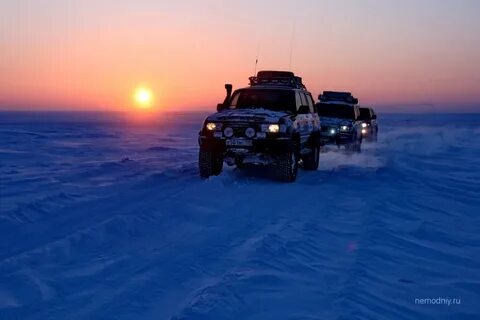 Сила тундры