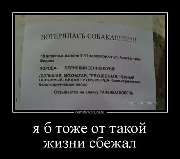 Тоже б