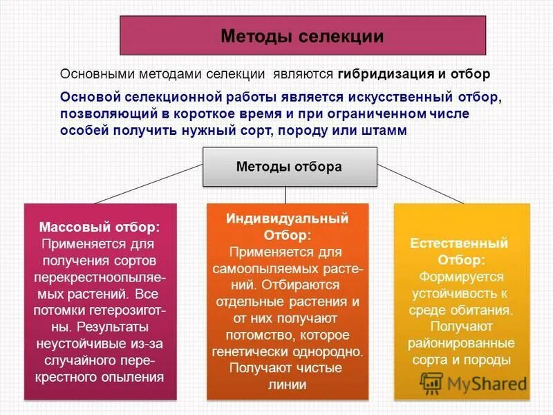 Описание методов селекции растений