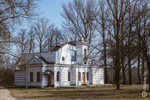 Дача говори