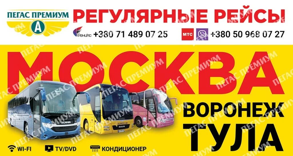 автобус москва донецк номер телефона. москва донецк новоясеневский автовокзал. москва донецк новоясеневский автовокзал. москва-донецк микроавтобус. москва донецк.