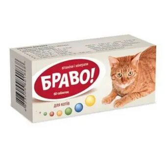Браво кошки