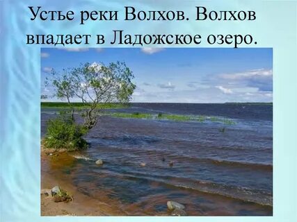 Устье реки волхов