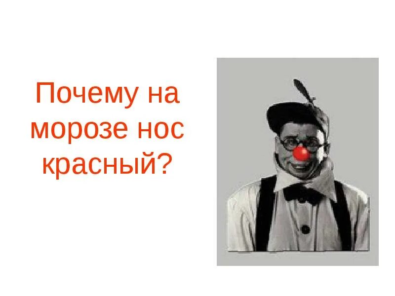 Описание мороза красного носа. Проект красный нос. Почему на морозе нос красный. Описание мороза красного носа. Стишки для самых маленьких дед мороз красный нос.