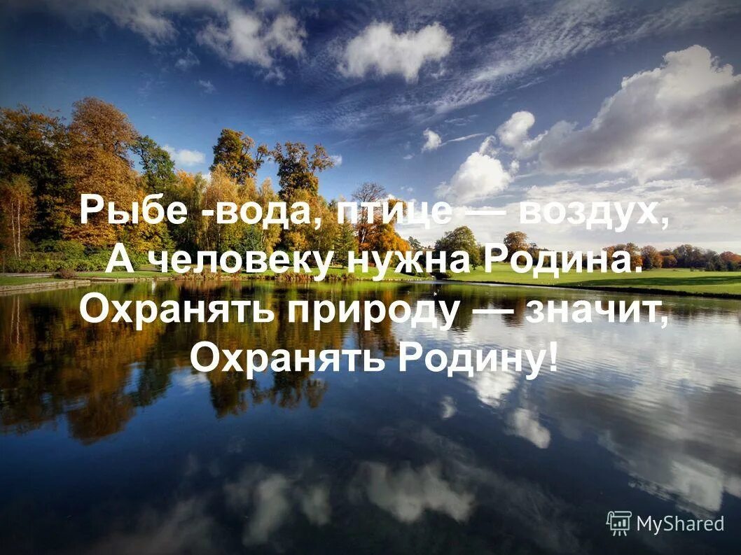 Природа картинки текст