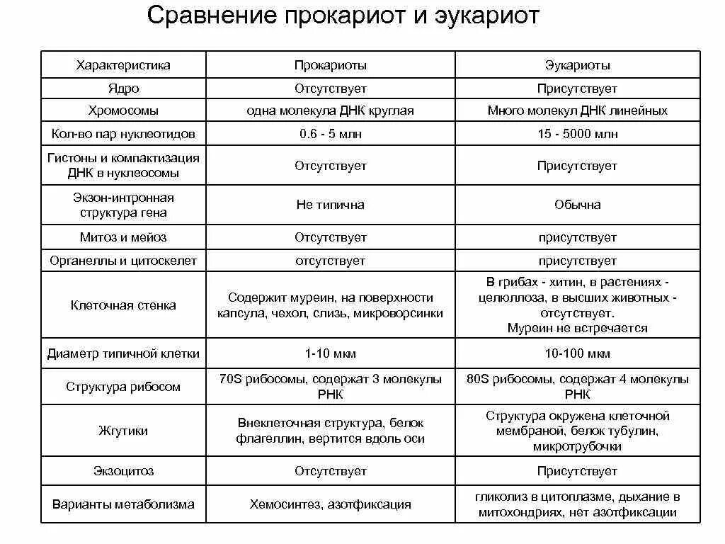 Сравнить эукариот и прокариот. Характеристика прокариот и эукариот таблица. Сравнительная характеристика прокариот и эукариот. Сравнить прокариоты и эукариоты. Особенности строения клеток эукариот и прокариот таблица.