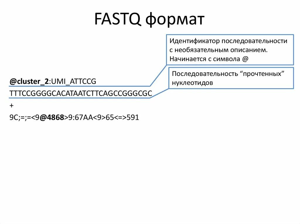 Fastq format. Fastq file. Fasta Формат. Fastq Illumina Bar code.