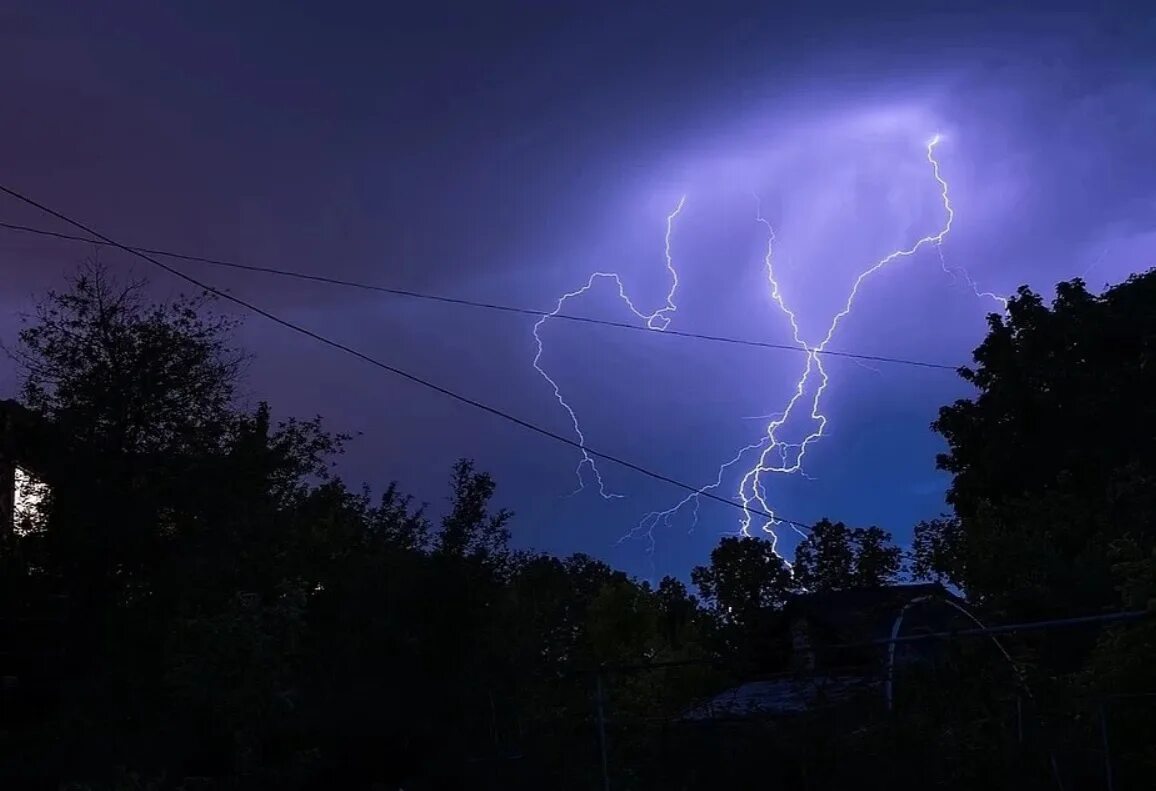 Гроза 18 новосибирск. Ураган в купино новосибирской области 26 июня. Поваленные деревья в парке. Ветер нсо. Дендропарк новосибирск аллея.