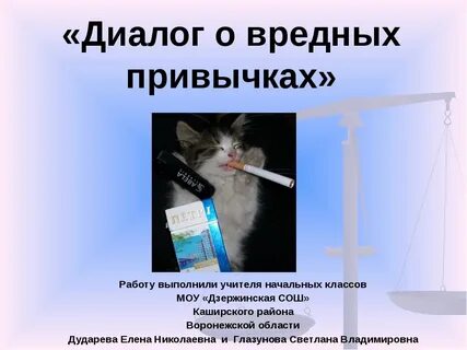 Кошки опасны для жизни