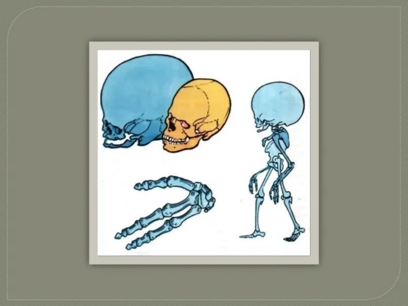 Человек будущего внешность. Профессии в будущем. Человек будущего презентация. Человек будущего характеристика. Человек будущего характеристика.