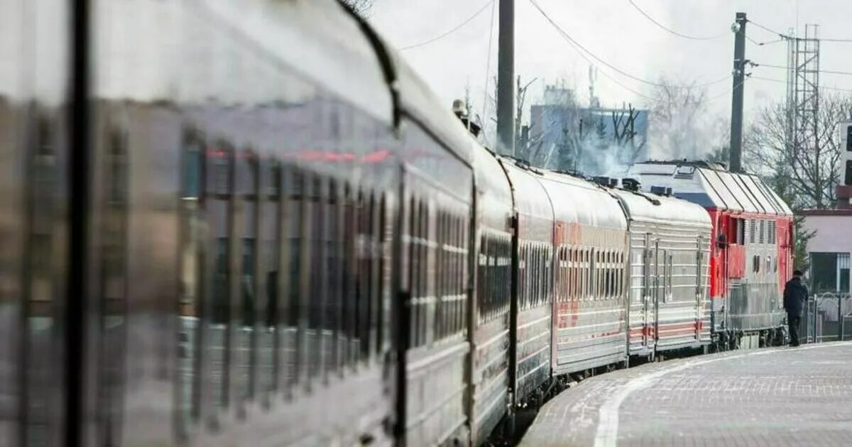Поезд Калининград Адлер. Огромный поезд. Поезд янтарь. Рейсовые поезда.