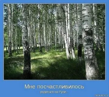 После родине
