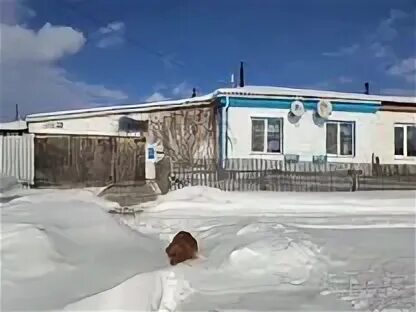 Авито реже