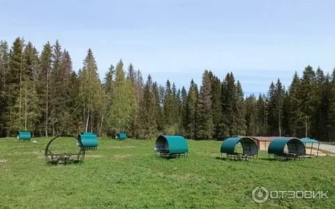 Хутор елки
