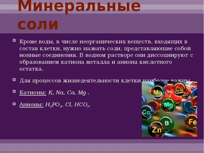 Минеральные вещества клетки вода Минеральные соли. Неорганические вещества Минеральные соли.