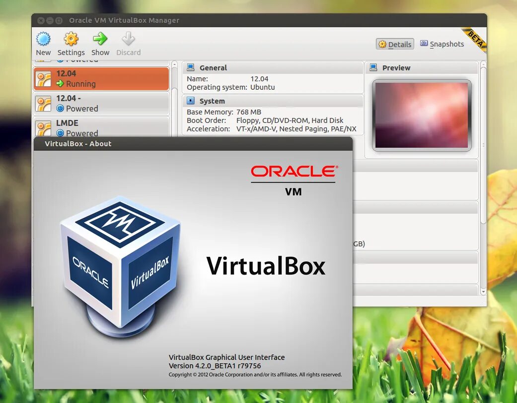 Alt virtualbox. Виртуальная машина oracle virtualbox. интерфейс виртуал бокс. виртуал бокс 7.0. функционал virtualbox.