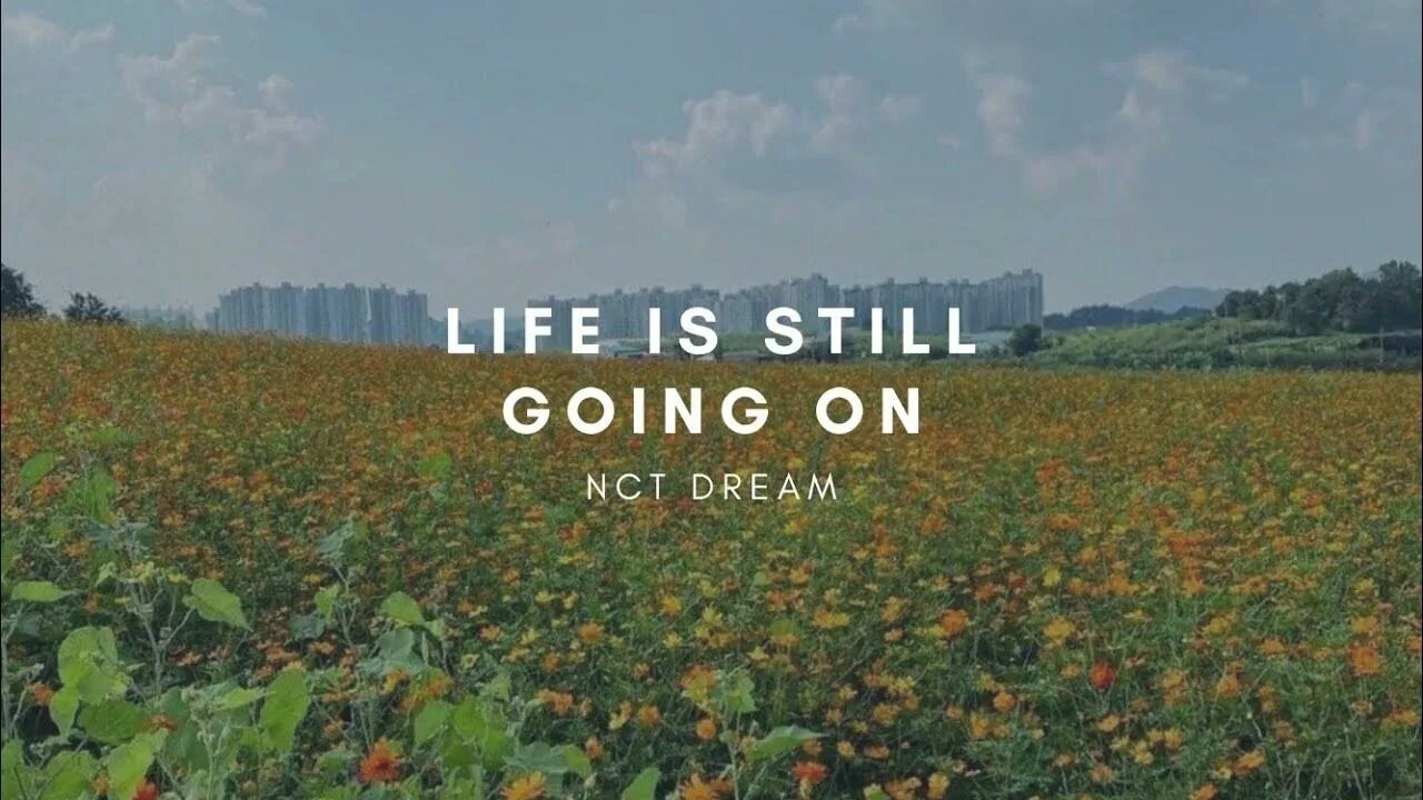 Life be a dream исполнители. Life could be a dream. My life dream. Life is a dream песня. Life could be a dream monke.