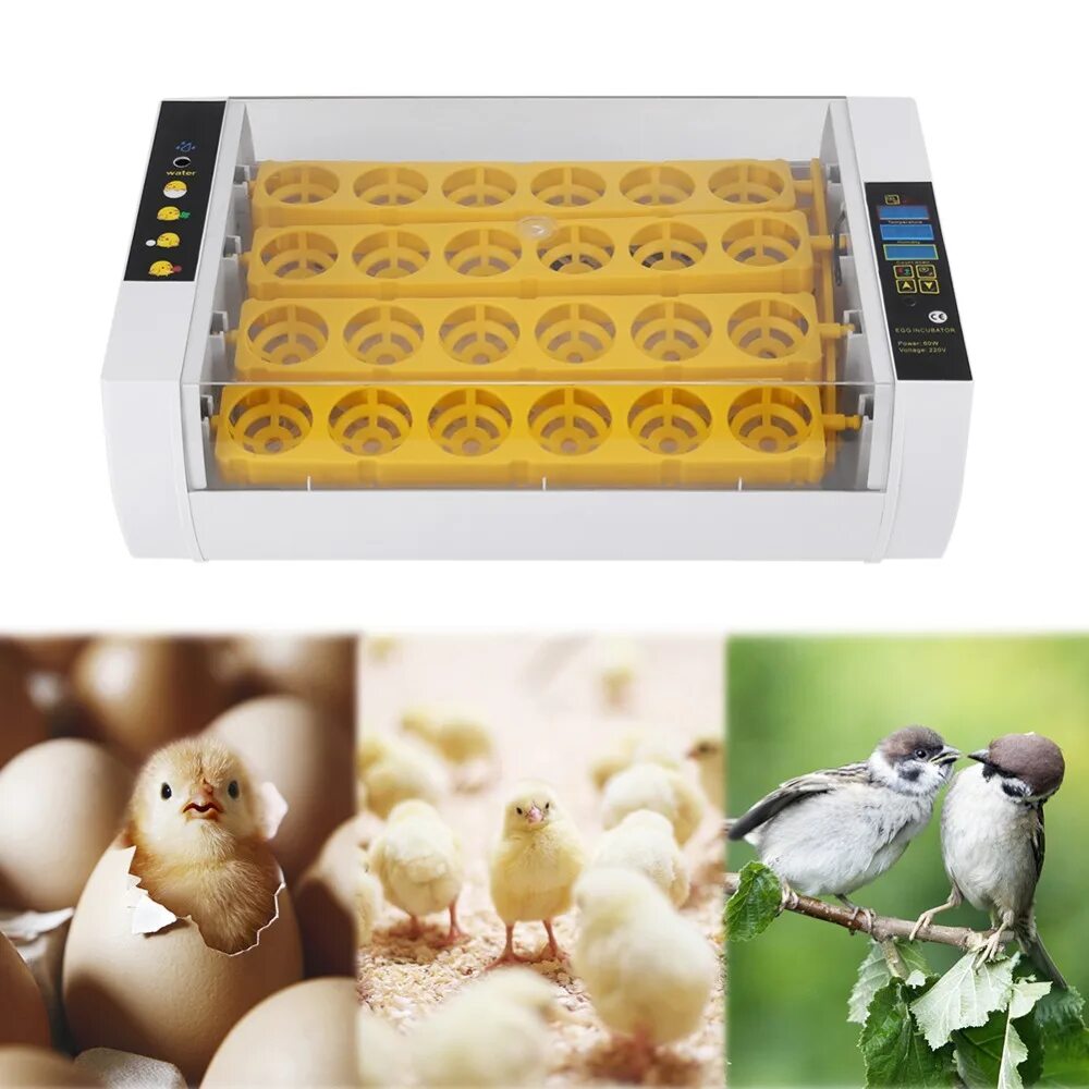 Инкубатор fully automatic egg incubator. Инкубатор для яиц egg incubator. инкубатор мини-брудер. инкубатор на 24 яйца. инкубатор автоматический wq-24.