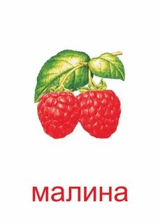 Имя малина