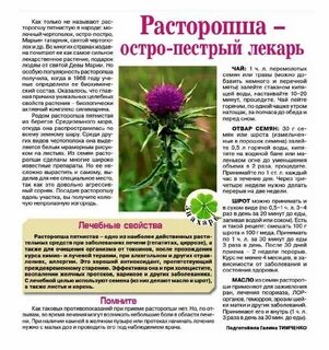 Свойства расторопши