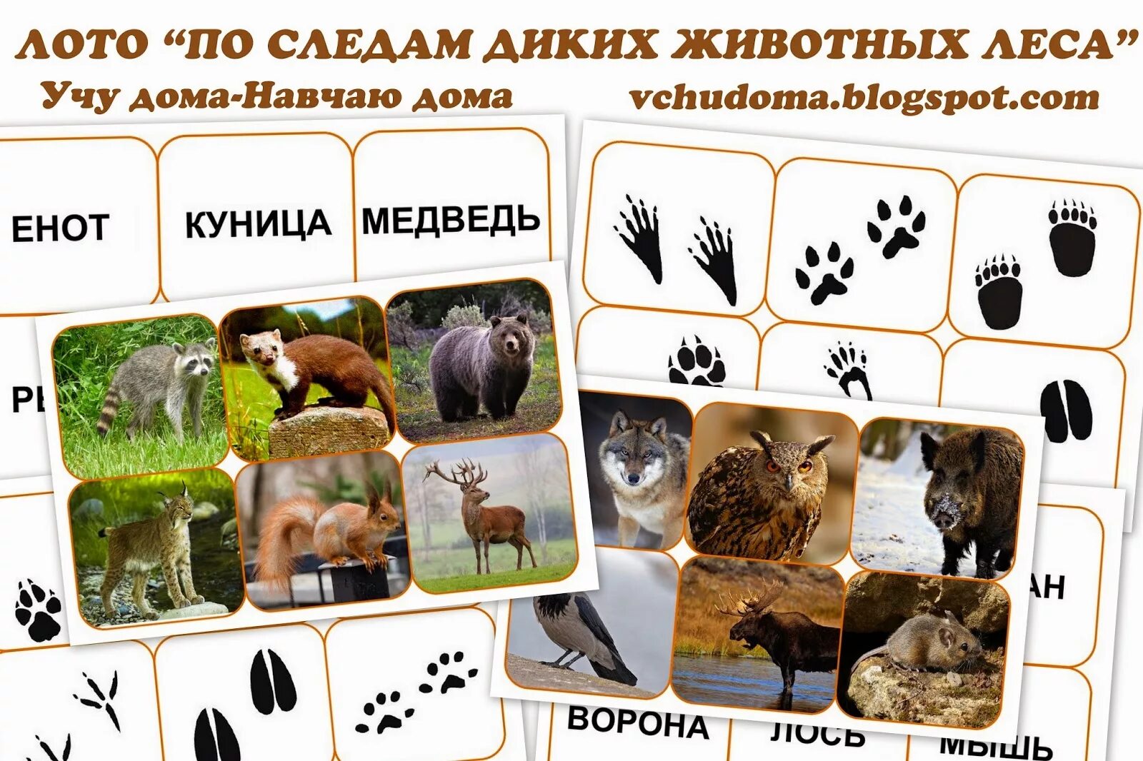 Следы животных окружающий мир 2 класс. Следы диких животных. следы лесных зверей для детей. чьи следы животные. лото следы животных.