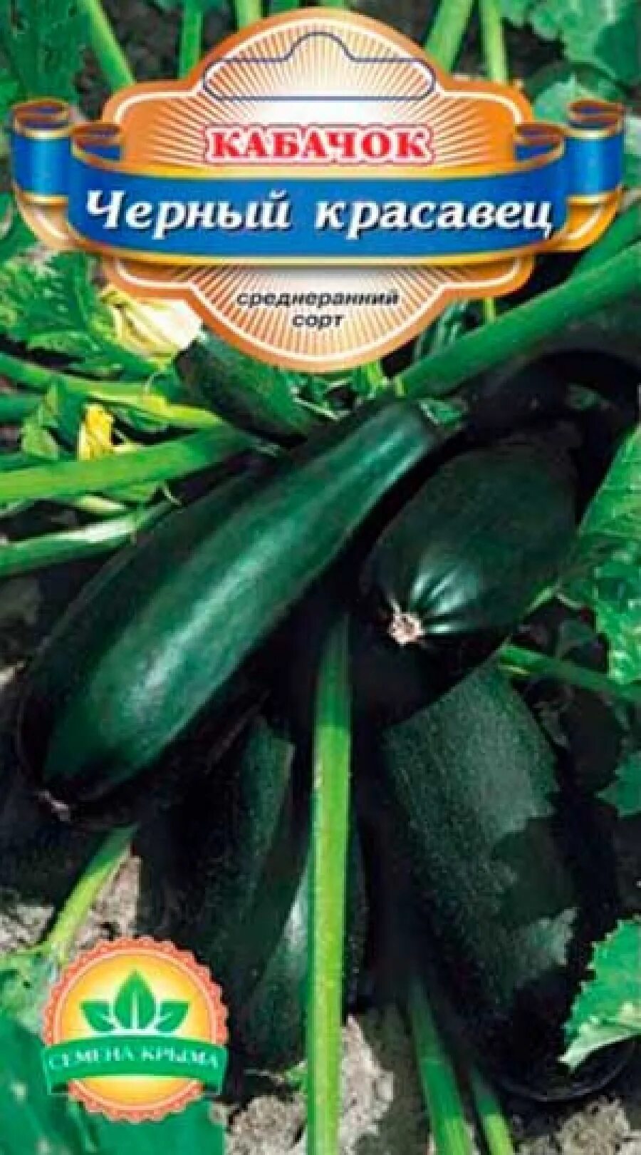 Семена кабачок цуккини черный красавец 2г, шт. Кабачок черный красавец. Кабачок черный красавец 5шт. Кабачок цуккини черный красавец. Кабачок-цукини "чёрный красавец".