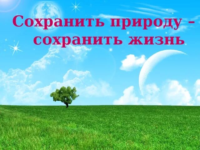 Сохранив природу сохрани здоровье. Сохрани природу сохрани жизнь. Сохранить природу сохранить жизнь. Сохраним природу вместе. Сохраняя природу сохраняешь жизнь.