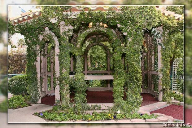Пергола увитая плющом. Балчик болгария ботанический сад. Парковая беседка увитая плющом 7. Екатерининский парк собственный садик. Пергола в екатерининском парке в пушкине.