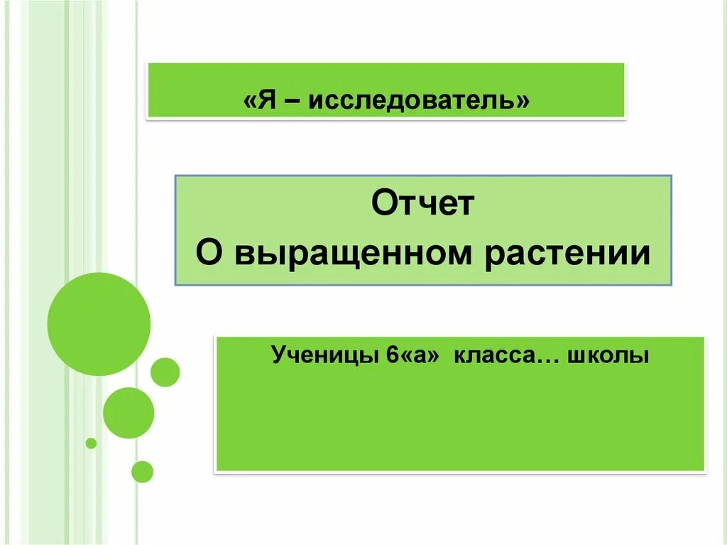 Описание исследовательского проекта это