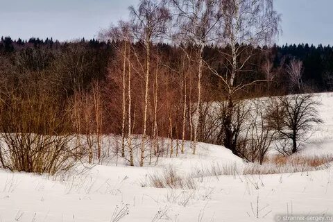 Клинско дмитровская