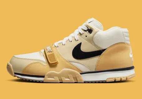 Nike air trainer 1