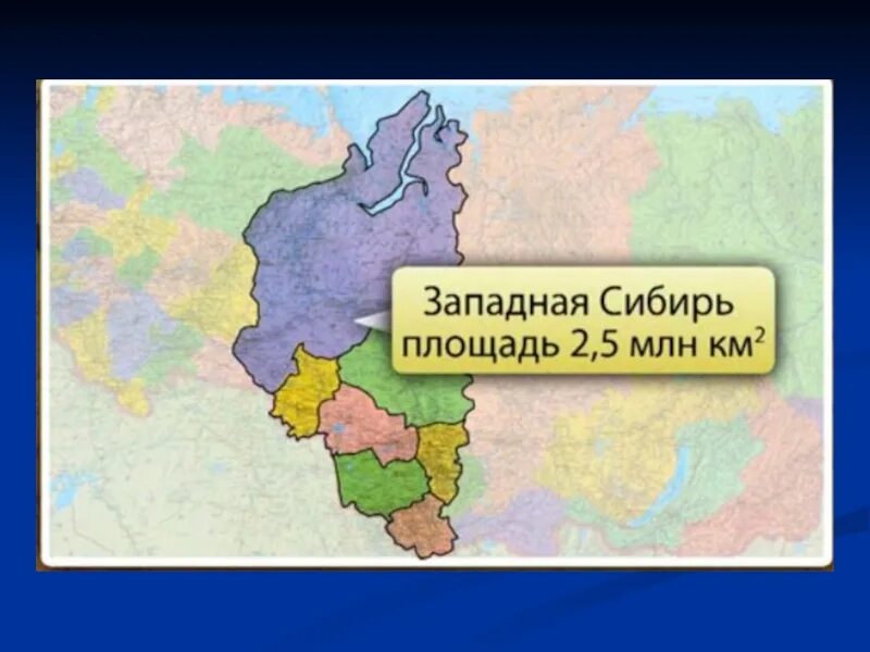 Какие края входят в сибирь. Западная Сибирь. Площадь Западной Сибири. Западная СИБМТ площадь. Сибирь презентация 9 класс.