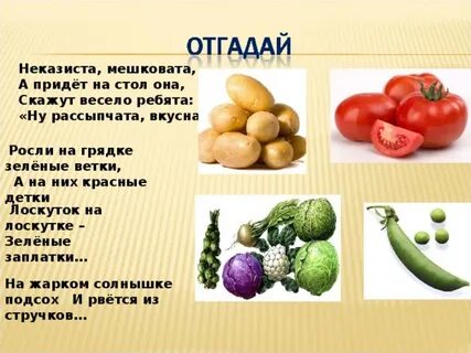 Растет на грядке зеленая ветка
