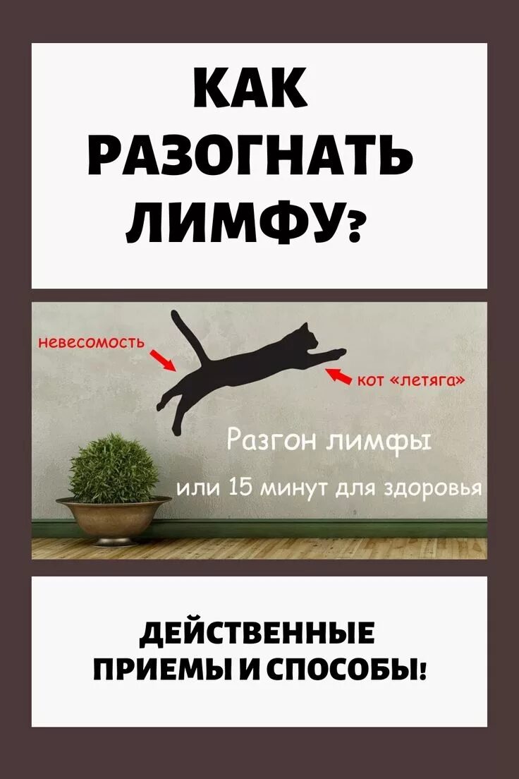 Что значит разогнать. Как разогнать лимфу. разгонять лимфу как разогнать. лимфа для чего разгоняют.