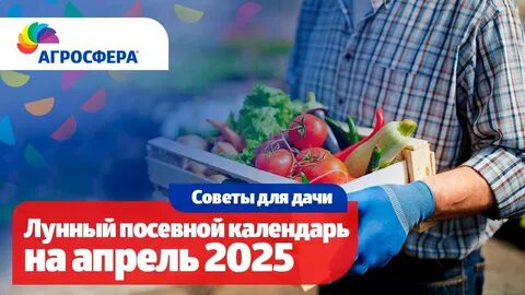 огород по лунному календарю