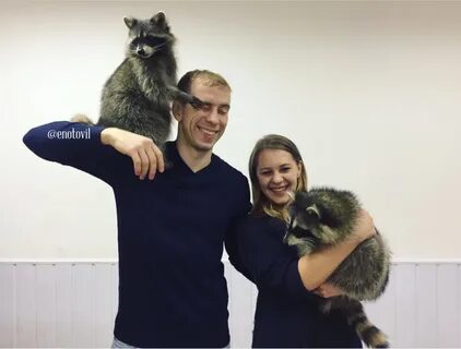 Енотовиль садовая ул 24 санкт петербург